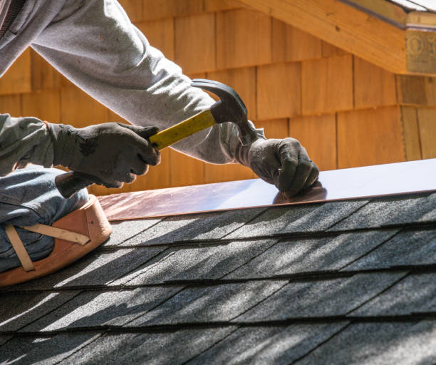 Best Shingle Roofing Installation  in Norman Park, GA